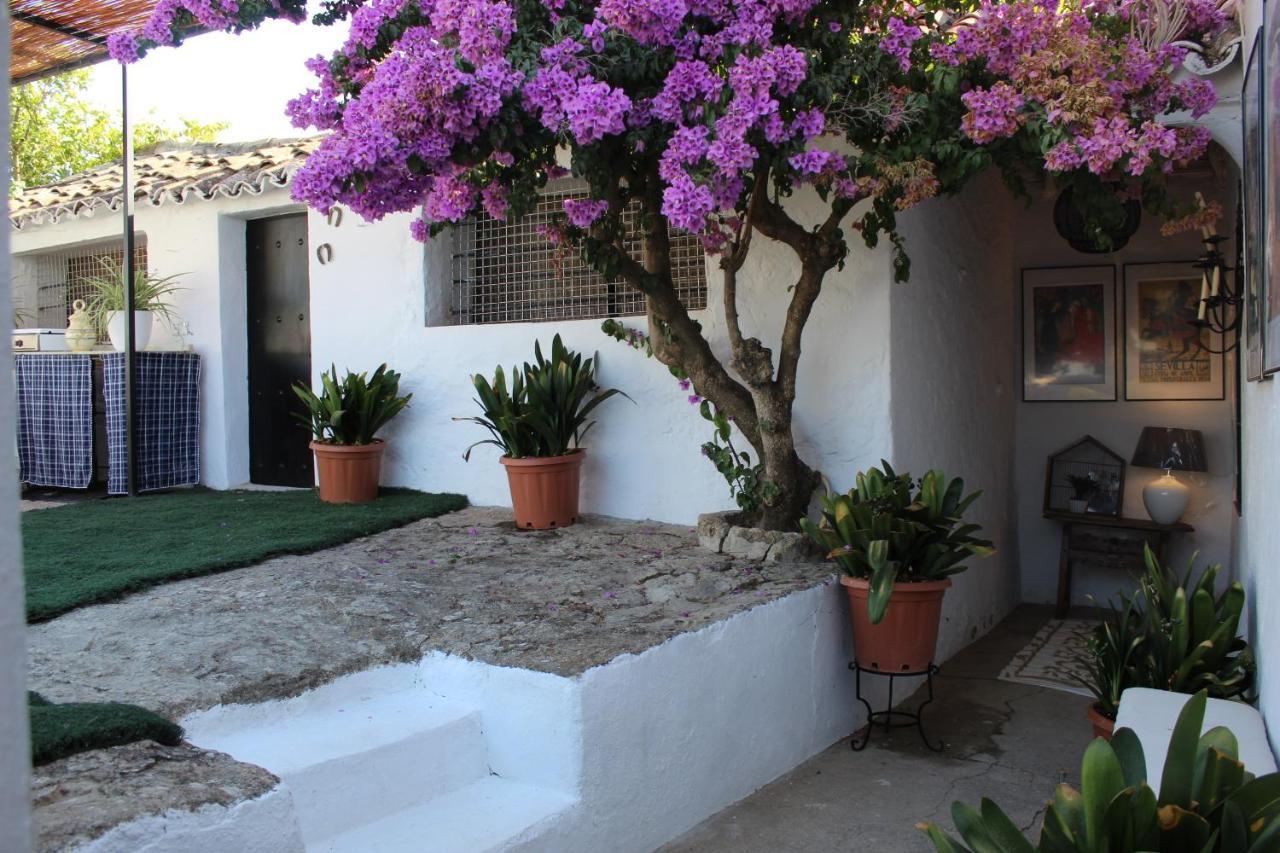 Casa Rural Faltriquera Setenil Setenil De Las Bodegas ภายนอก รูปภาพ